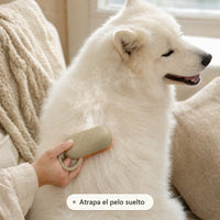Atrapa el pelo suelto: perro cepillado con Mimo