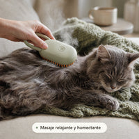 Masaje relajante y humectante para gatos