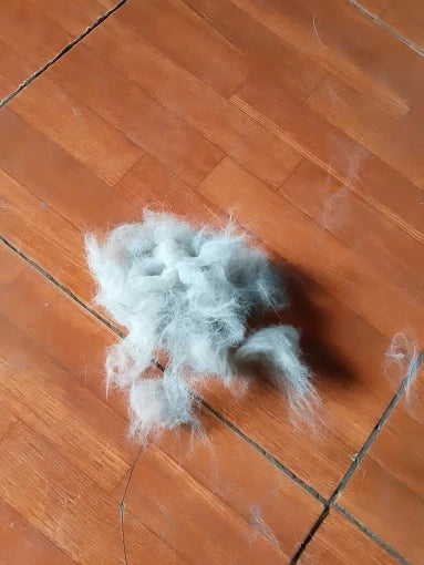 Foto de Y.